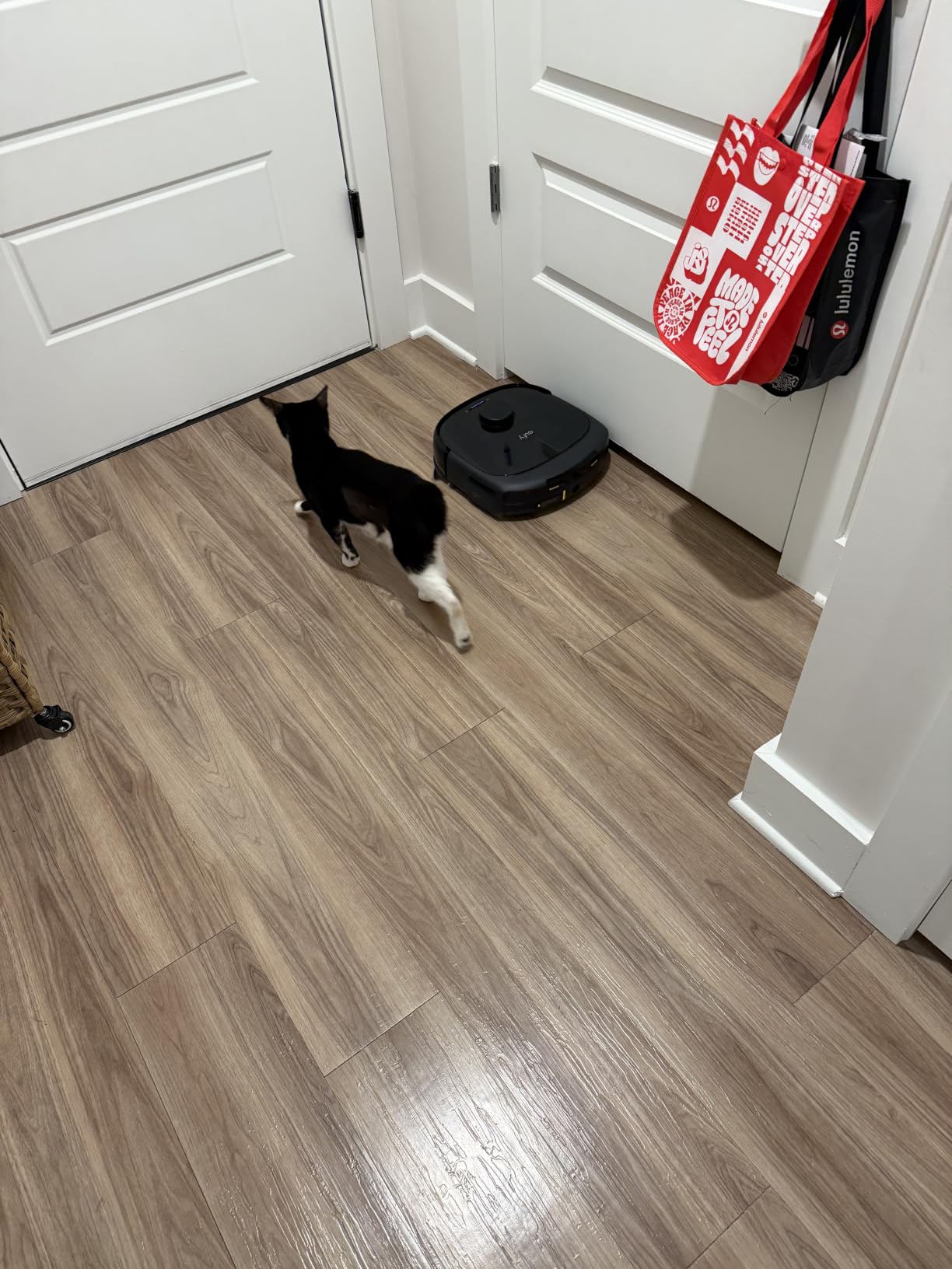 eufy E25 Robot Vacuum and Mop Combo, 20,000 Pa, HydroJet Roller Mop customer photo 2