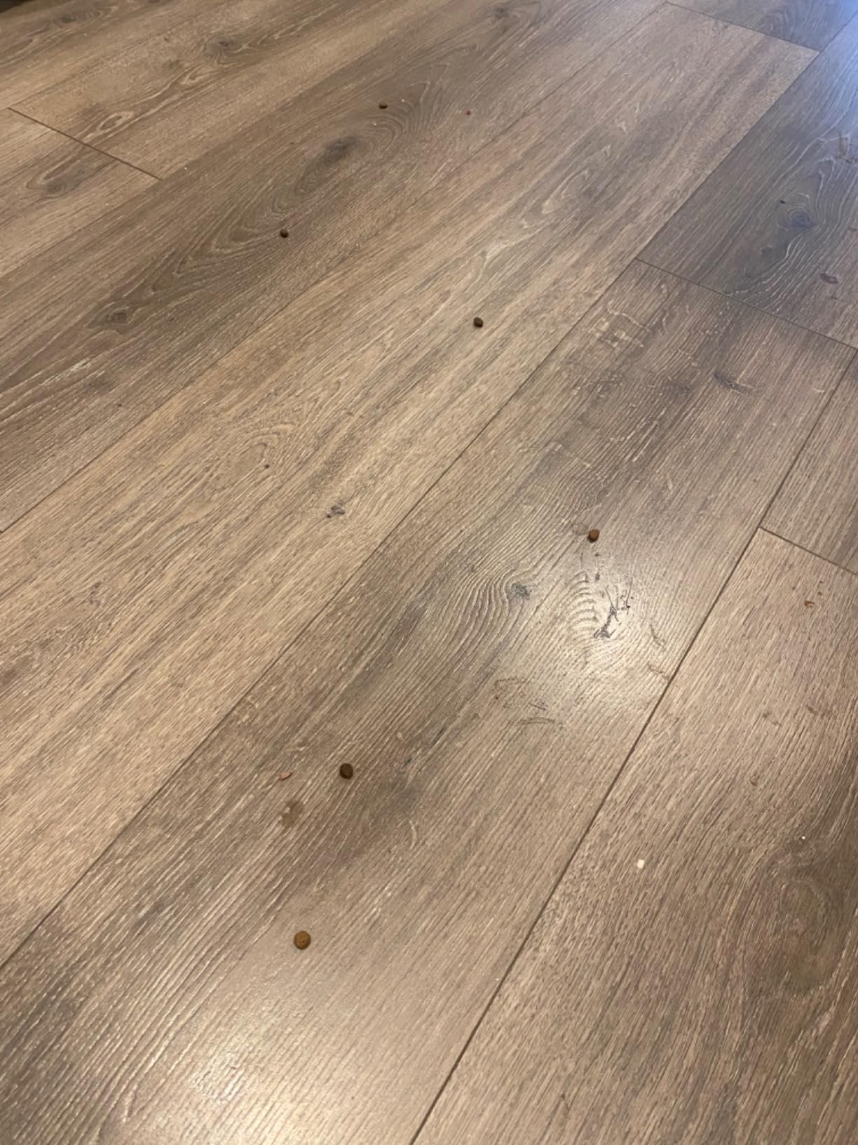 Roomba Max 715X customer photo 1